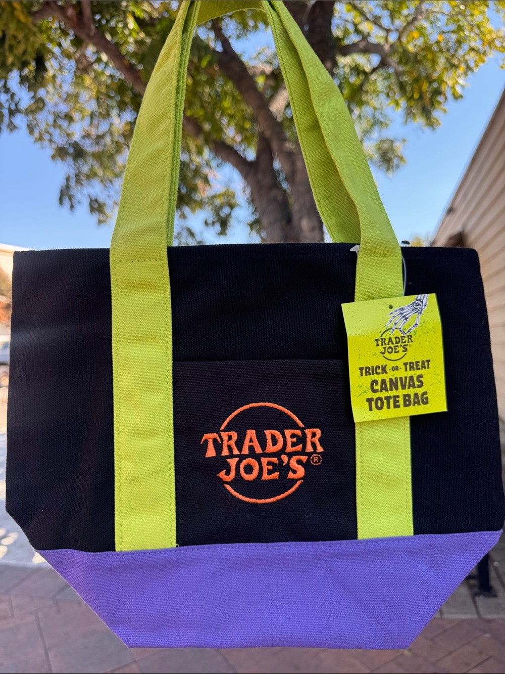 Trader Joe's Halloween Black/Green/Purple Canvas Mini Tote